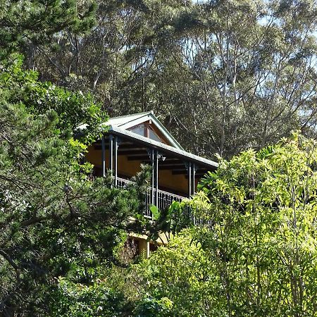 Intaba Lodge Hout Bay Dış mekan fotoğraf