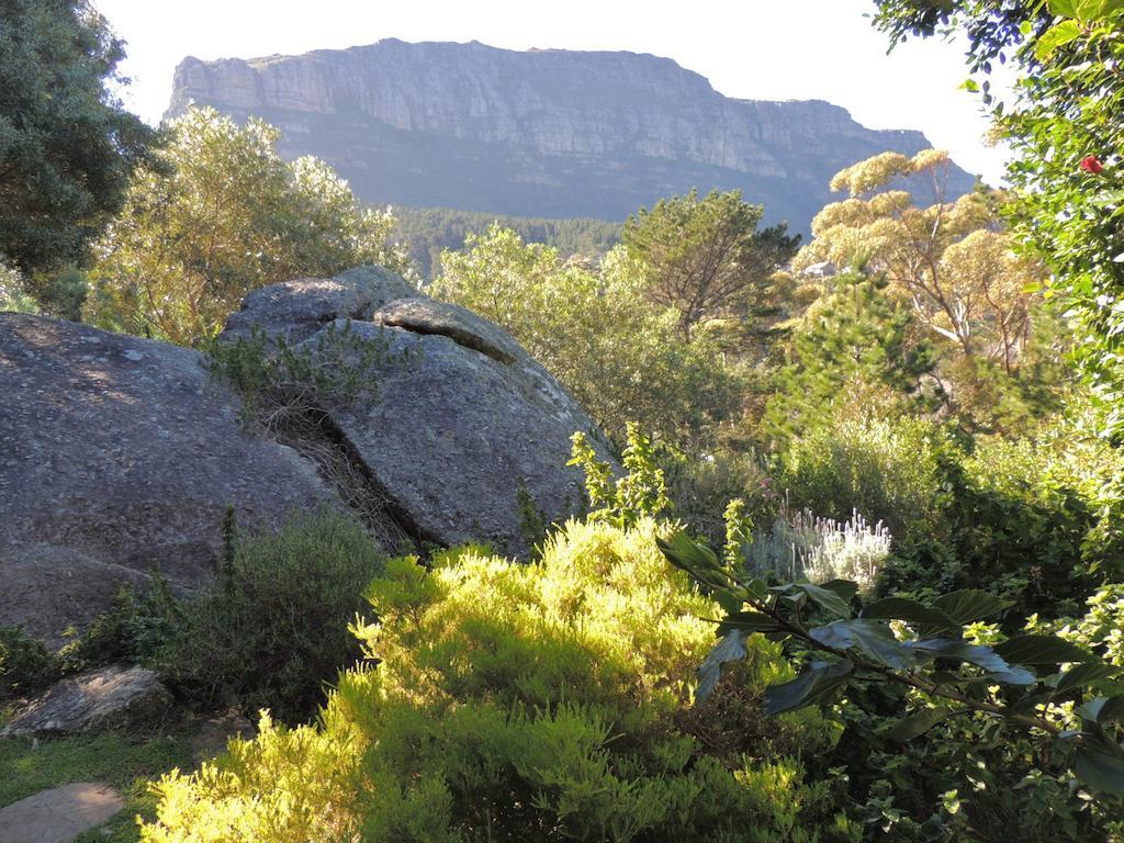 Intaba Lodge Hout Bay Dış mekan fotoğraf