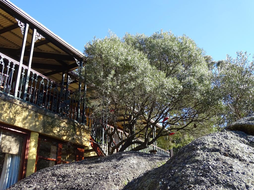 Intaba Lodge Hout Bay Dış mekan fotoğraf