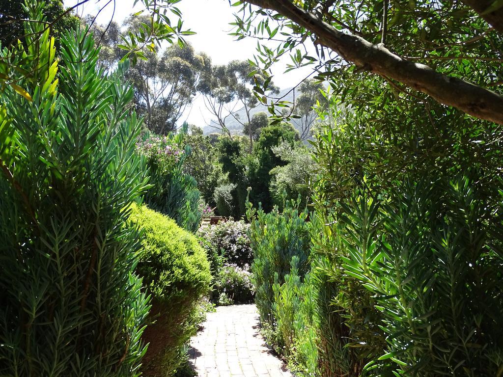 Intaba Lodge Hout Bay Dış mekan fotoğraf