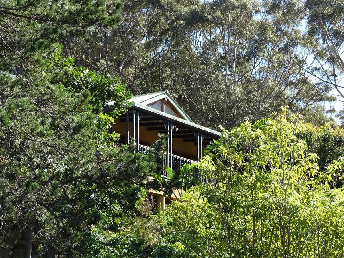 Intaba Lodge Hout Bay Dış mekan fotoğraf